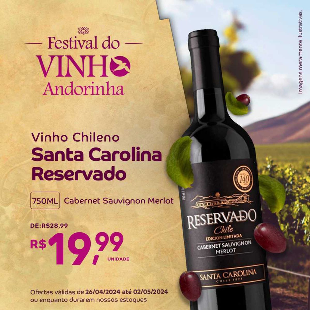Festival do VINHA Andorinha Vinho Chileno Santa Carolina Reservado 750ML