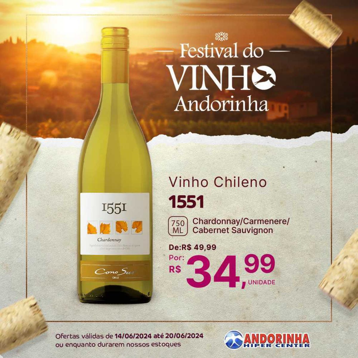 Vinho Chileno - Chardonnay, Carmenere e Cabernet Sauvignon