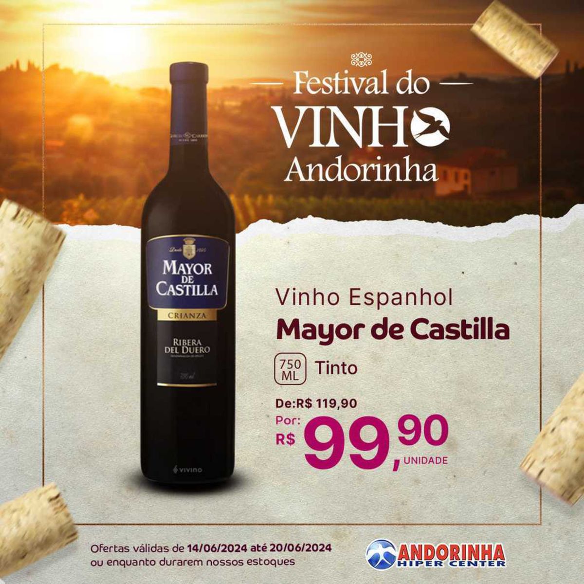 4 Castiia Vinho Espanhol MM Mayor de Castilla Tinto